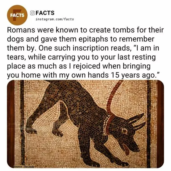 Fascinating facts that will spark your curiosity - #12 