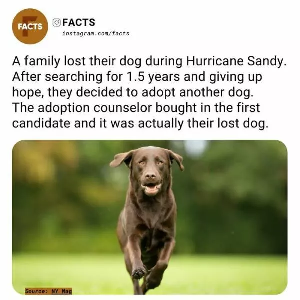 Fascinating facts that will spark your curiosity - #13 