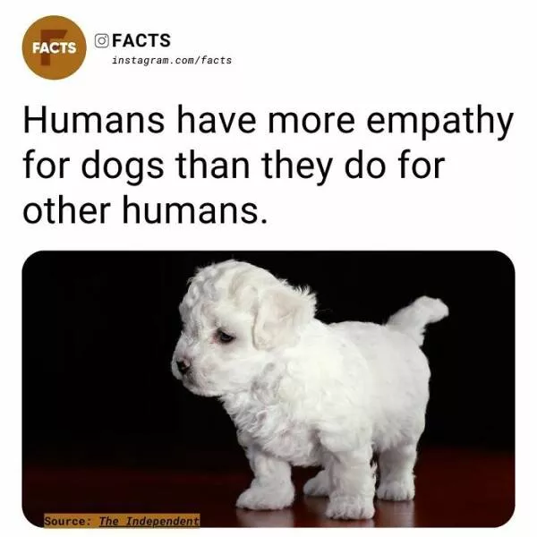 Fascinating facts that will spark your curiosity - #14 