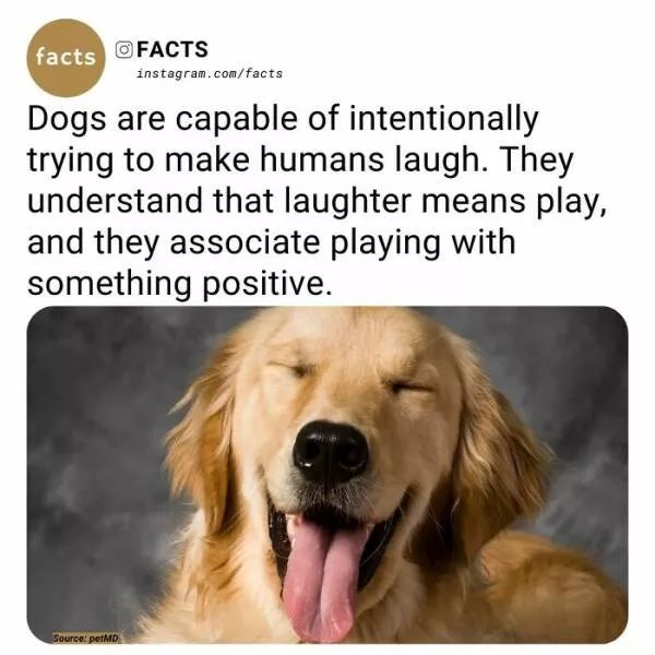 Fascinating facts that will spark your curiosity - #15 