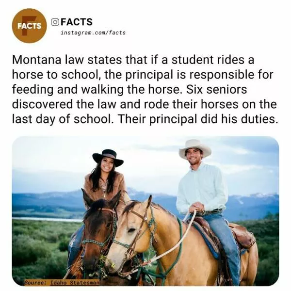 Fascinating facts that will spark your curiosity - #18 