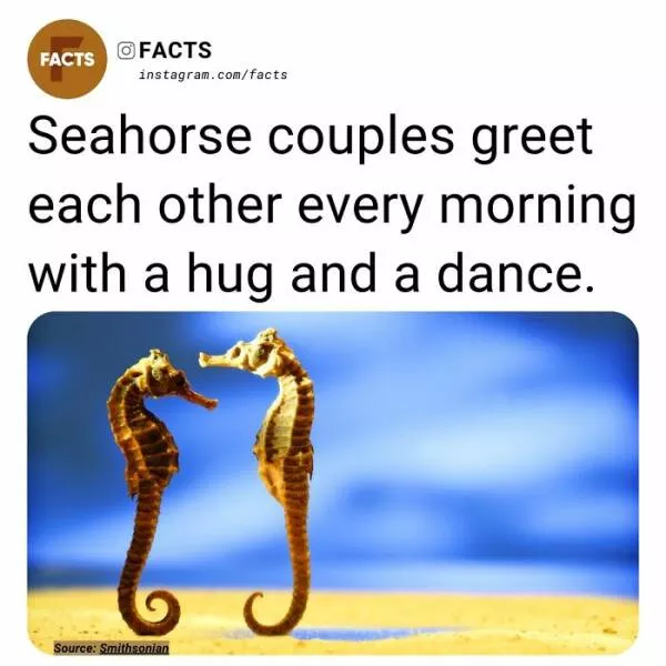 Fascinating facts that will spark your curiosity - #25 