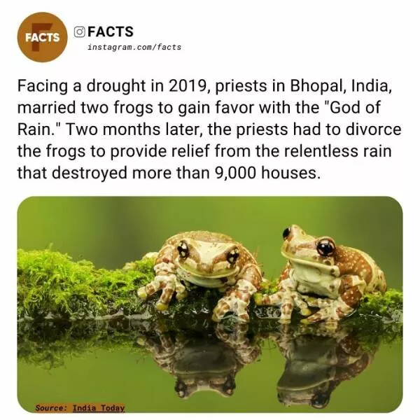 Fascinating facts that will spark your curiosity - #26 