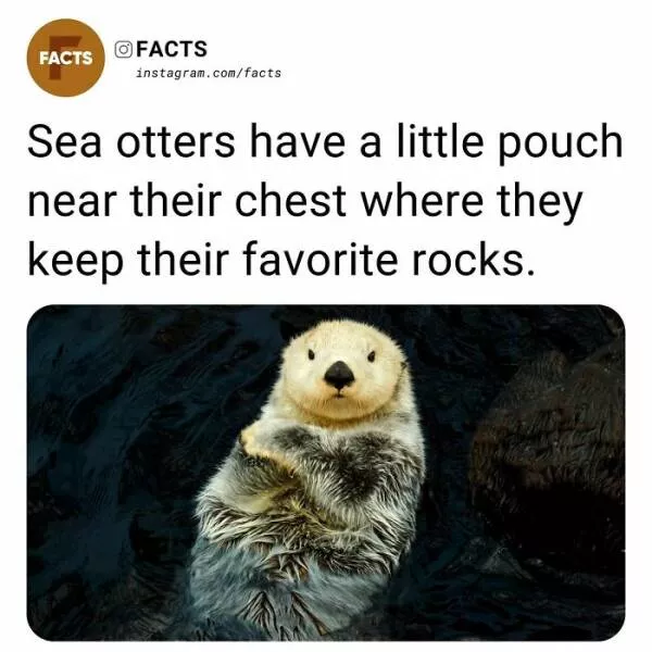 Fascinating facts that will spark your curiosity - #27 