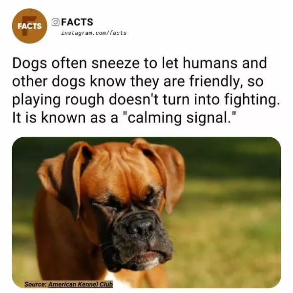 Fascinating facts that will spark your curiosity - #28 