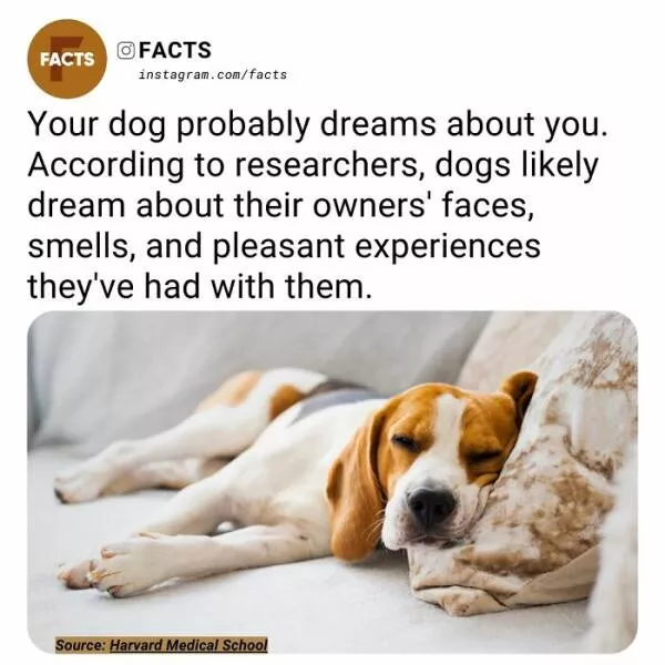 Fascinating facts that will spark your curiosity - #29 