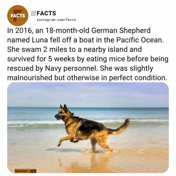 Fascinating facts that will spark your curiosity - #39 