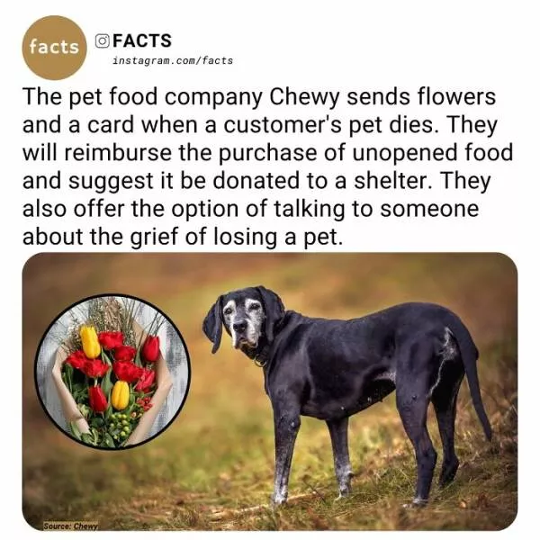 Fascinating facts that will spark your curiosity - #4 