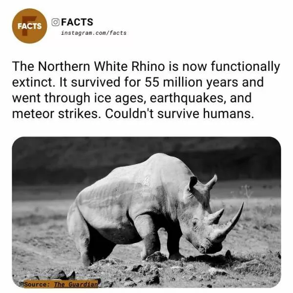Fascinating facts that will spark your curiosity - #40 