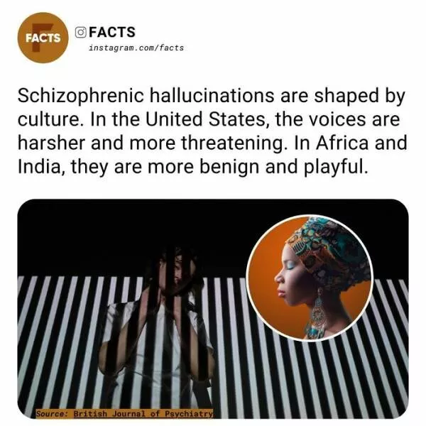 Fascinating facts that will spark your curiosity - #43 