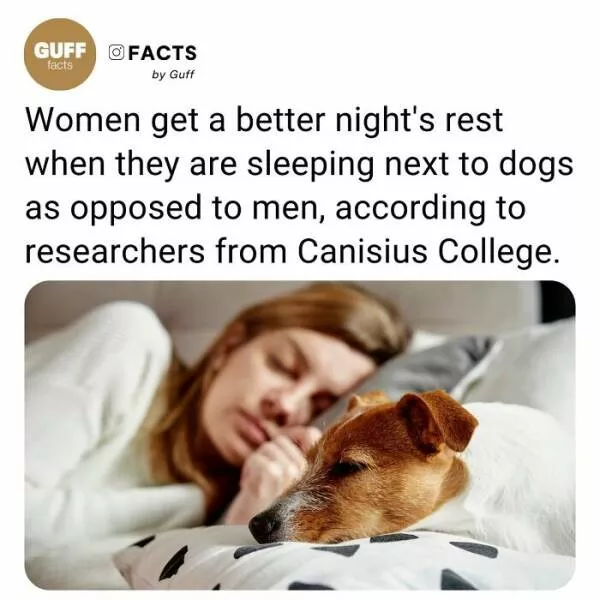 Fascinating facts that will spark your curiosity - #45 