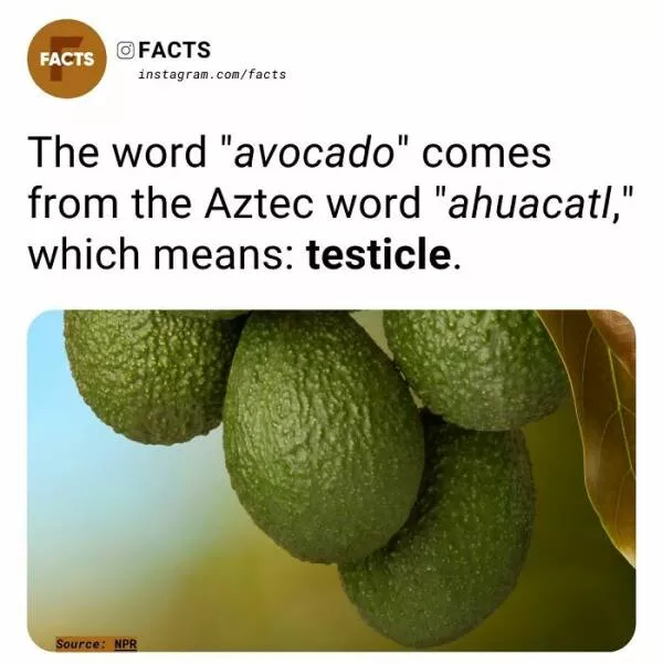 Fascinating facts that will spark your curiosity - #48 