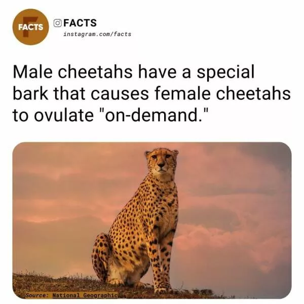 Fascinating facts that will spark your curiosity - #49 