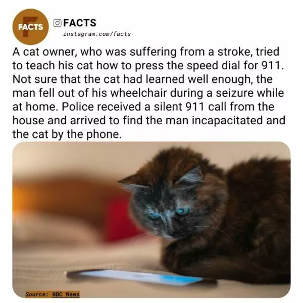 Fascinating facts that will spark your curiosity - #6 
