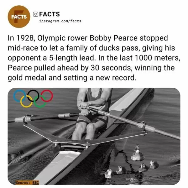 Fascinating facts that will spark your curiosity - #9 
