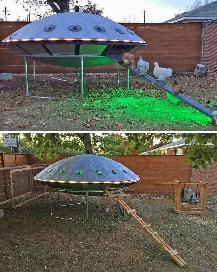Inspiring creative projects that exceeded all expectations - #37 