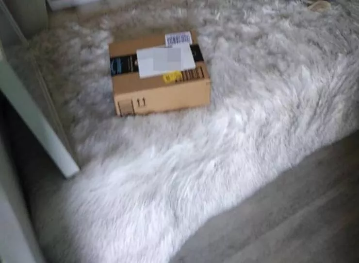 Epic work fails that are both hilarious and cringe worthy - #5 The delivery person who entered a home to drop off a package without knocking or announcing themselves