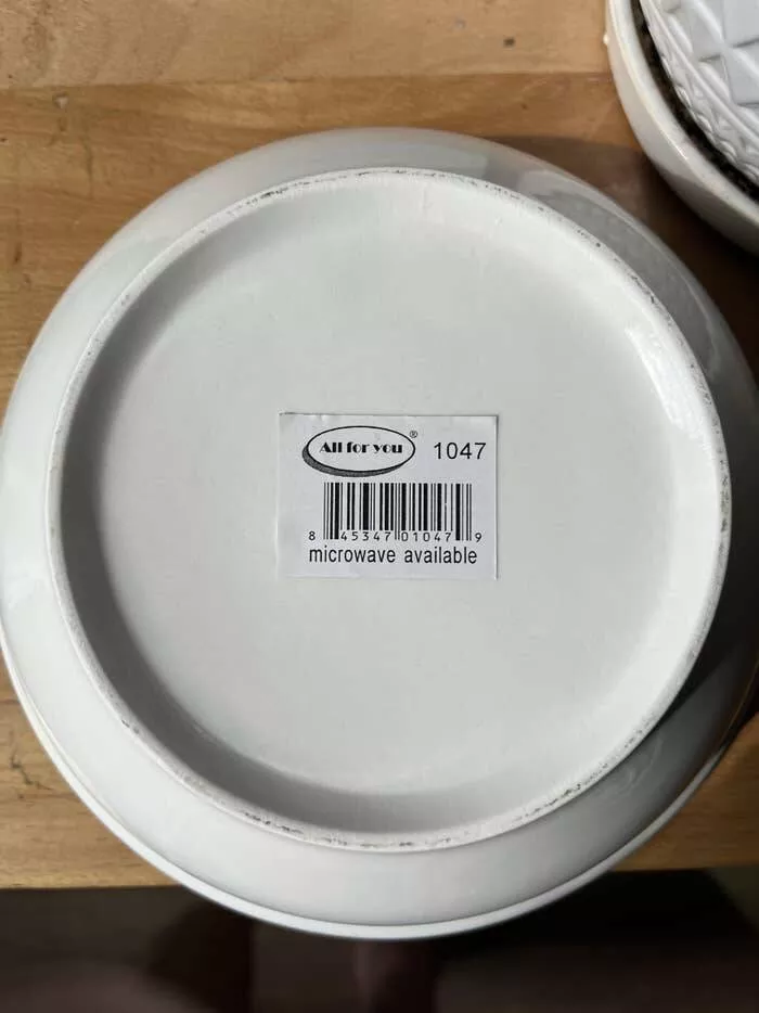 Epic work fails that are both hilarious and cringe worthy - #7 The individual who failed to indicate that this plate is microwave-safe