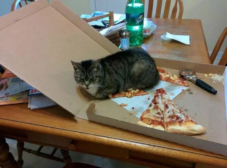 Picdump 904 - #38 