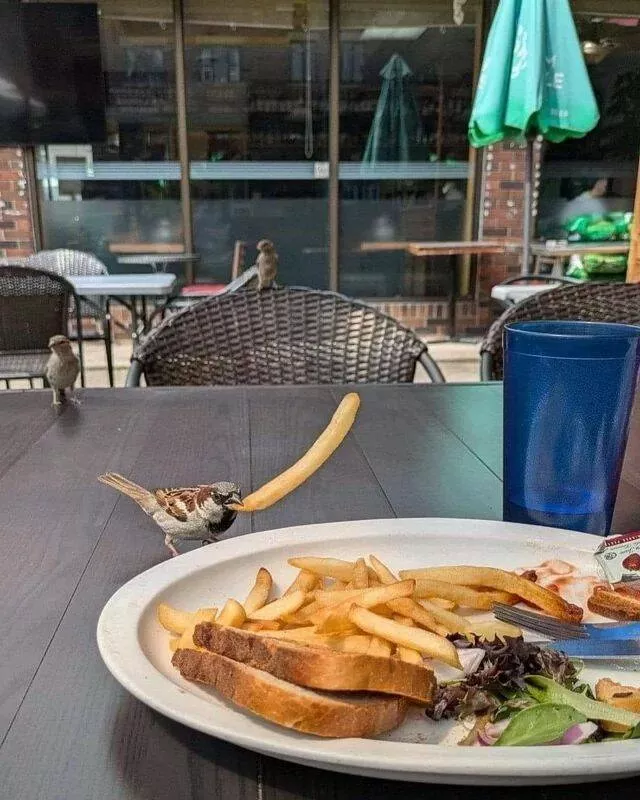 Picdump 904 - #60 