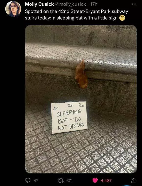 Picdump 905 - #17 