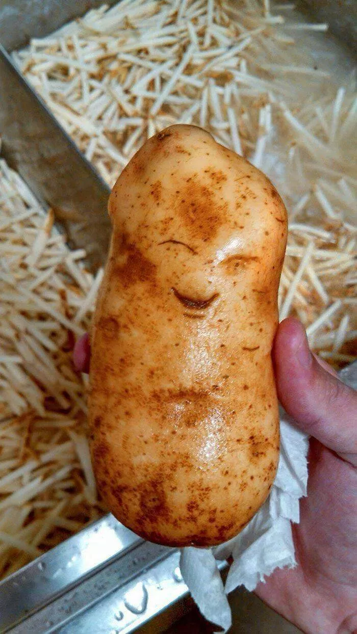 Picdump 905 - #26 