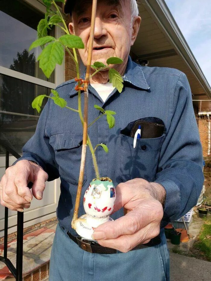 Heartwarming grandpa moments that show why theyre the best - #14 My grandpa was very excited to show me that he grew a tomato plant in an eggshell
