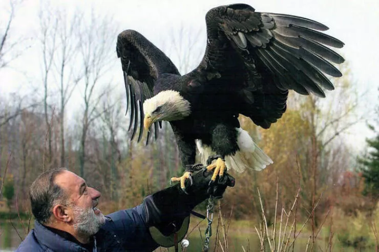 Moments touchants avec papy qui prouvent quils sont les meilleurs - #19 Mon grand-père de 83 ans avec un aigle royal, c'est impressionnant
