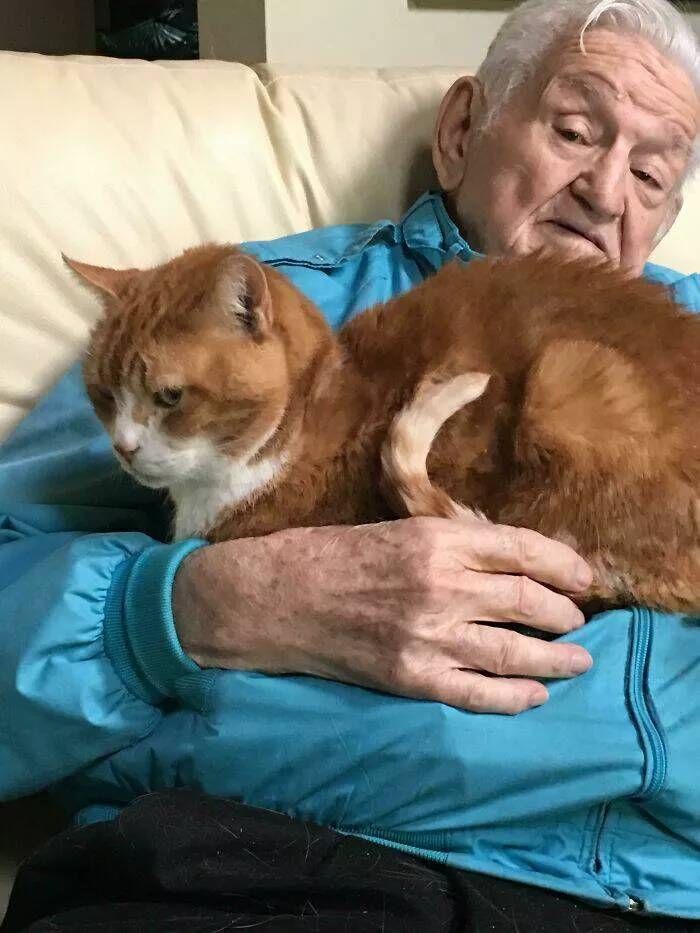 Moments touchants avec papy qui prouvent quils sont les meilleurs - #40 19. Mon grand-père de 92 ans avec mon chat de 16 ans. Statuts âgés de deux espèces différentes