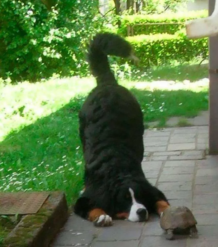 Picdump 906 - #15 Picdump 906 - #15