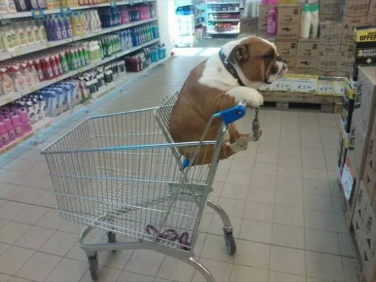 Picdump 909 - #42 