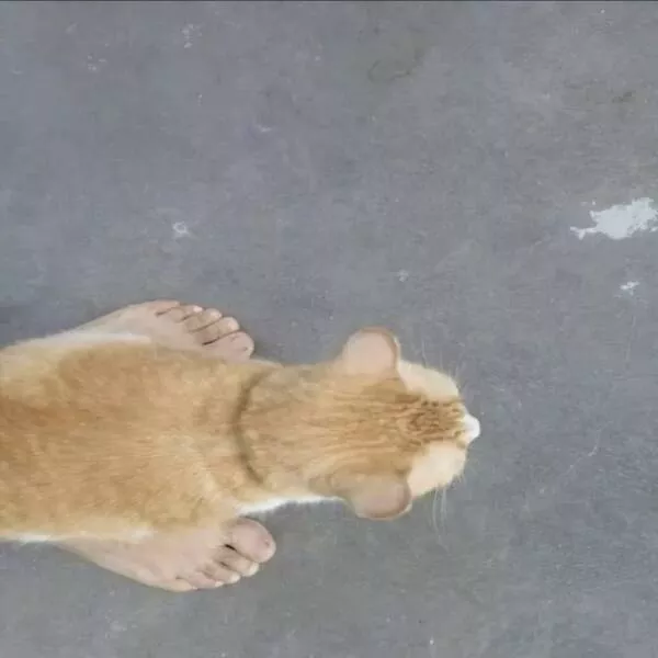 Picdump 909 - #46 
