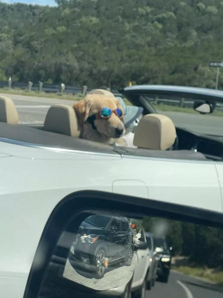 Picdump 909 - #49 
