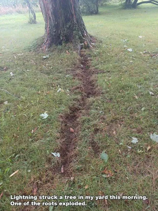 Picdump 910 - #17 