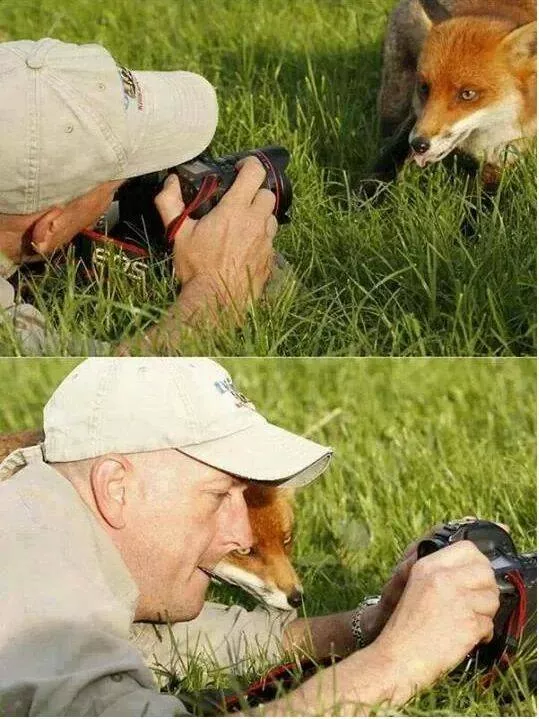 Picdump 910 - #18 