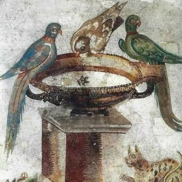 Timeless ancient wonders that continue to astonish - #9 A Roman mosaic from the 1st century A.D. featuring parrots, a dove drinking from a fountain, and a lurking cat, found in Santa Maria Capua Vetere, Italy Timeless ancient wonders that continue to astonish - #9 A Roman mosaic from the 1st century A.D. featuring parrots, a dove drinking from a fountain, and a lurking cat, found in Santa Maria Capua Vetere, Italy