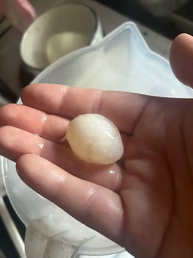 Intriguing photos that will ignite your curiosity - #21 An unusual egg with only a strange white mass inside, no yolk