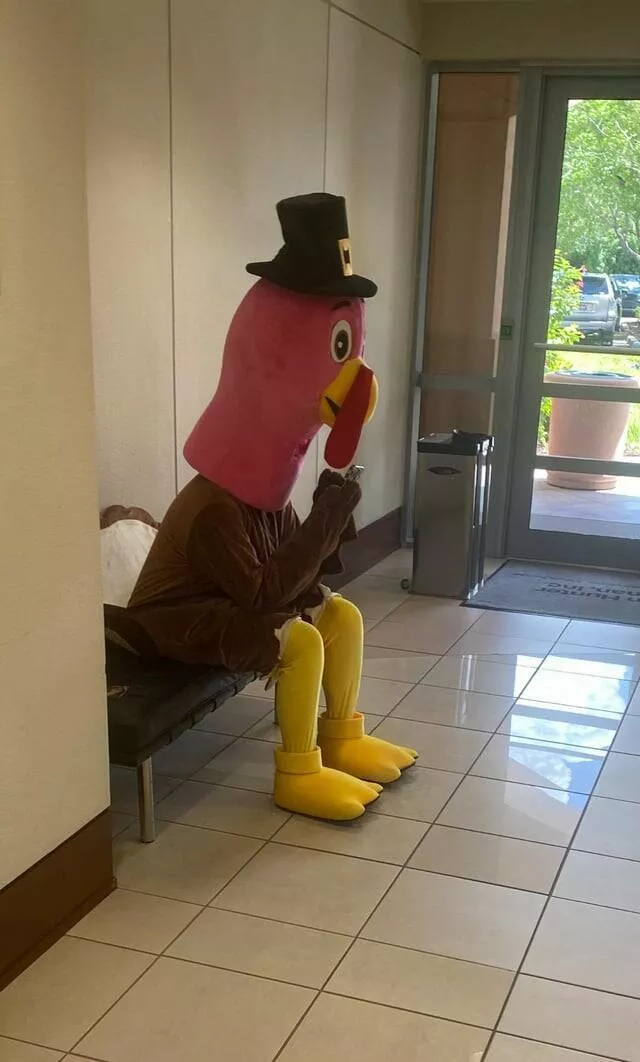 Intriguing photos that will ignite your curiosity - #23 I saw a turkey playing with a phone in the office lobby