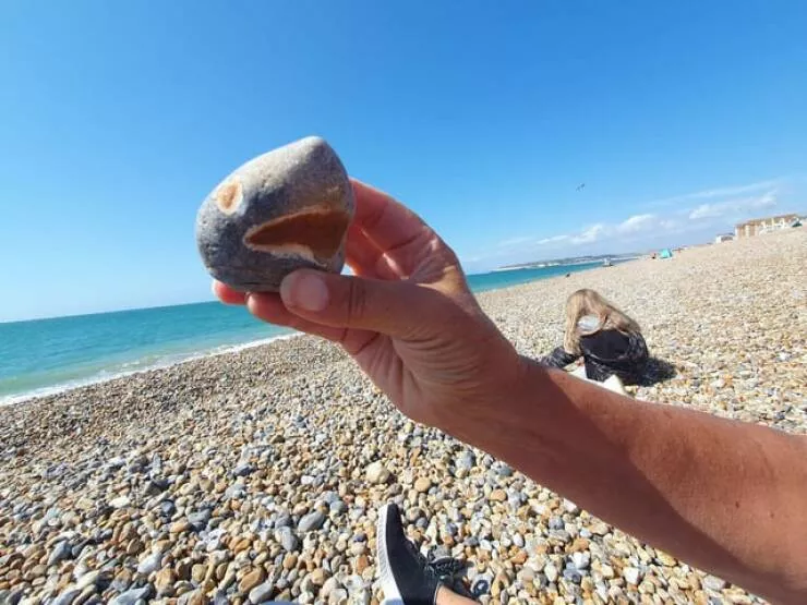 Intriguing photos that will ignite your curiosity - #27 I found a rock that resembles a shark