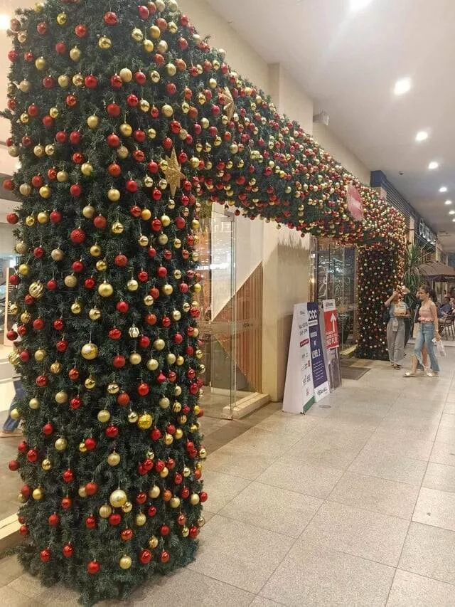 Photos intrigantes qui eveilleront votre curiosite - #30 Un des centres commerciaux locaux a déjà commencé à décorer pour Noël (c'est encore août)