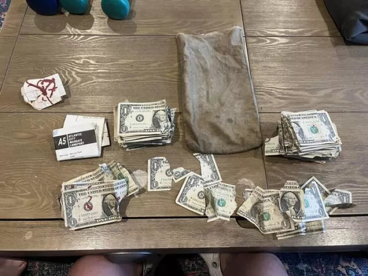 Intriguing photos that will ignite your curiosity - #31 I discovered a bag of torn $1 bills in my basement along with a bus route flyer from 1989