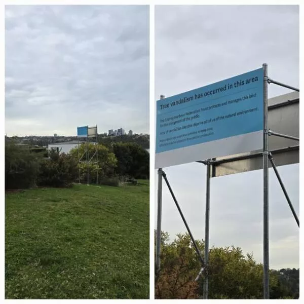 Photos intrigantes qui eveilleront votre curiosite - #6 Quelqu'un a abattu un grand arbre pour avoir une meilleure vue sur le port de Sydney et a ensuite installé un grand panneau à sa place pour bloquer la vue
