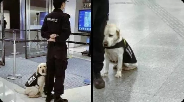 Picdump 911 - #11 