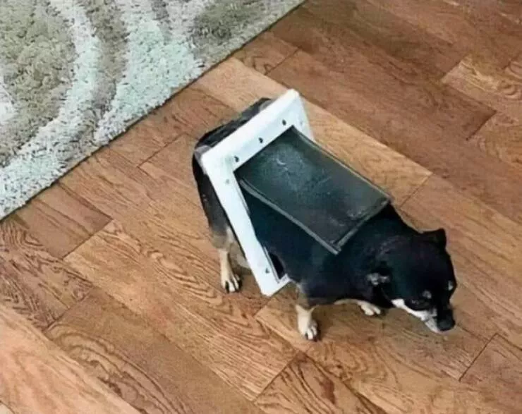 Picdump 911 - #17 