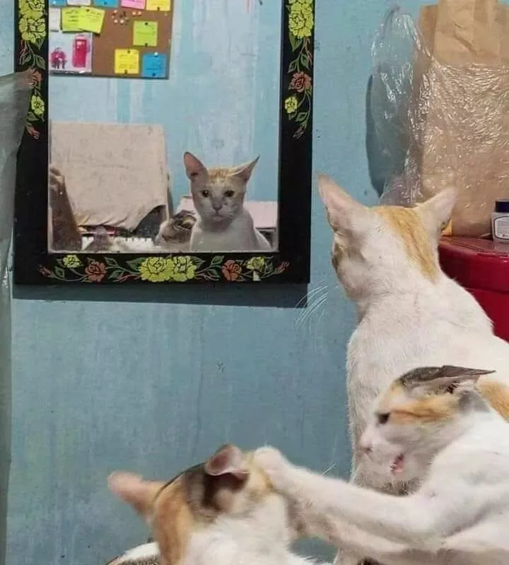 Picdump 911 - #3 