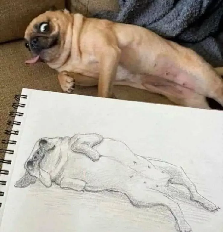 Picdump 911 - #53 