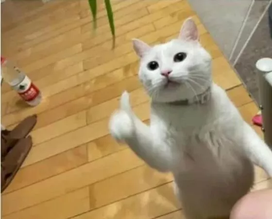 Picdump 911 - #56 