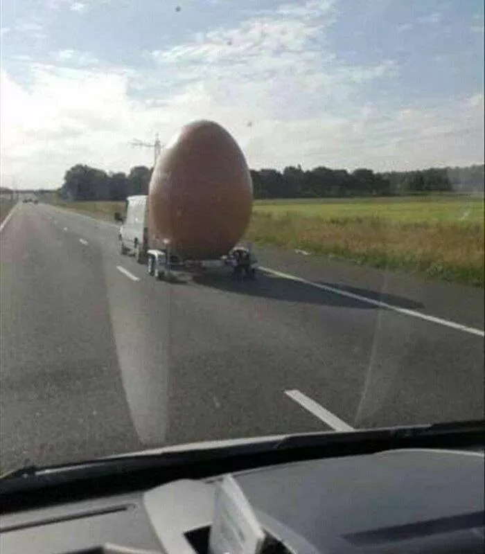 Picdump 911 - #57 