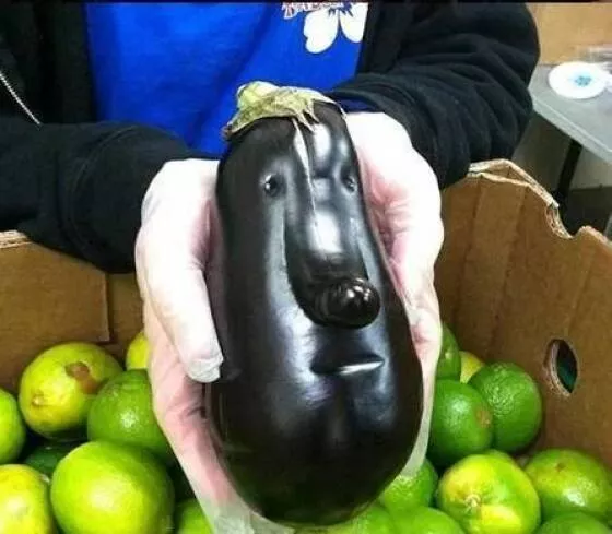Picdump 911 - #58 