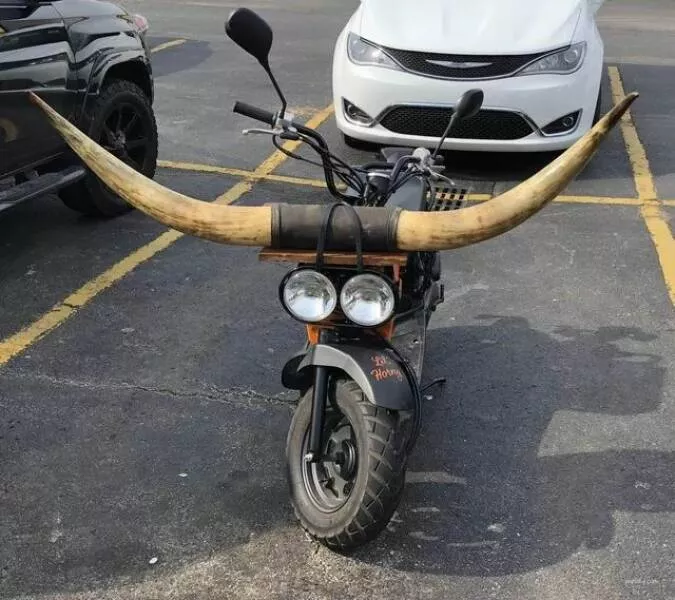 Picdump 911 - #59 